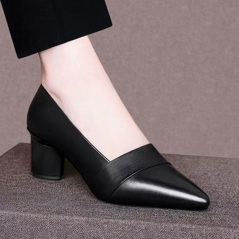 Genuine Leather Thick Heel Mid-heel Pointed Toe Women's Pumps - Drazelle Store